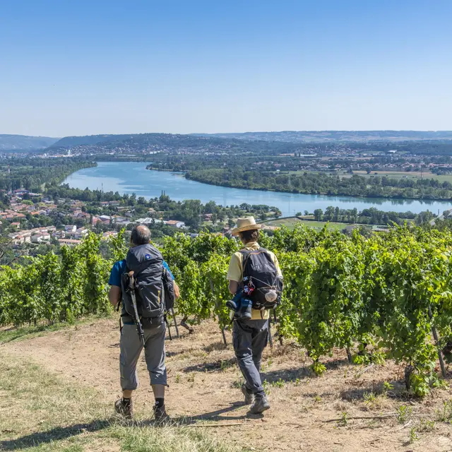 Chemins de Compostelle : Genève - Le Puy_Saint-Julien-en-Genevois