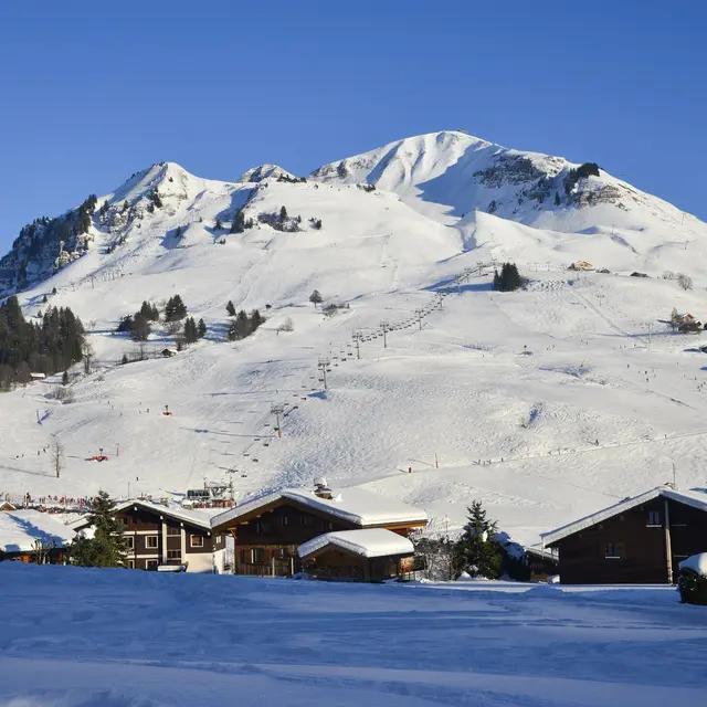 Vue sur le domaine skiable depuis le Chinaillon