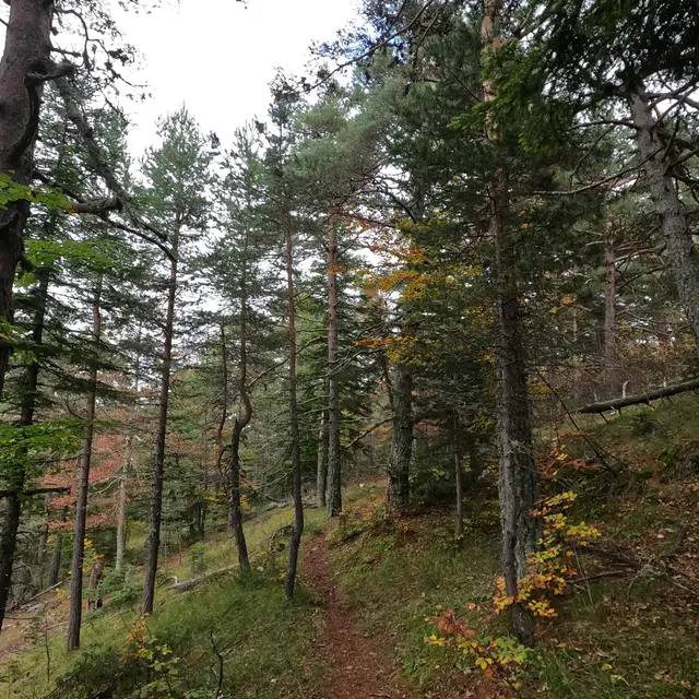 La Réserve Biologique_Gréolières