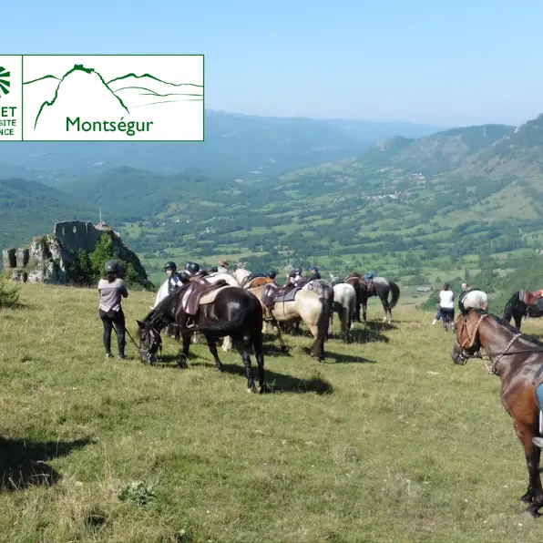 Excursion à cheval au coeur de la forêt_Bélesta