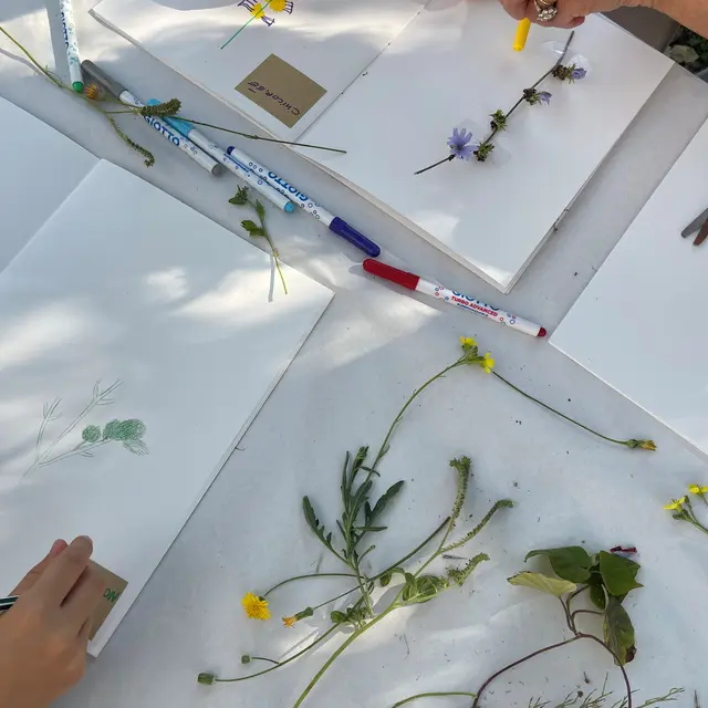 Atelier : Mon herbier du moyen âge_Arles