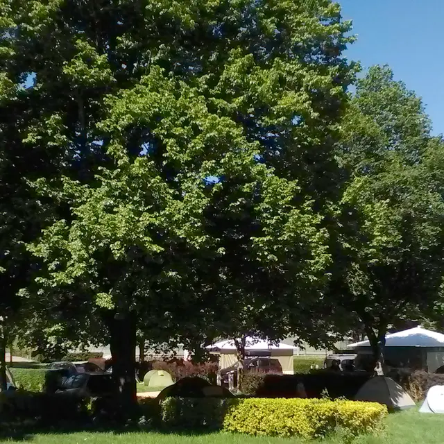 Tentes et bungalows