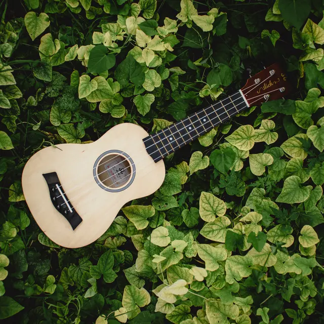 Concert - Sweet Cocktail_Vialas