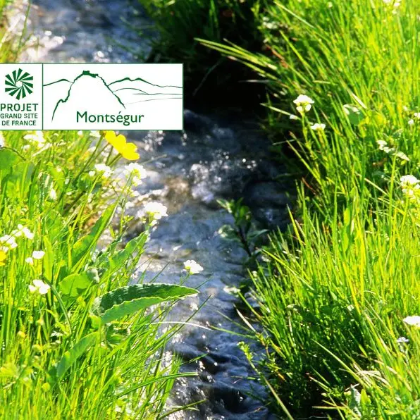 Des sommets vers la vallée, elle coule, elle coule, la rivière…_Montferrier