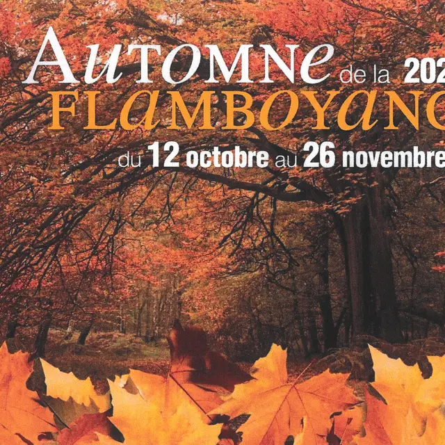 Lancement de l'automne de la Flamboyance_Aurillac