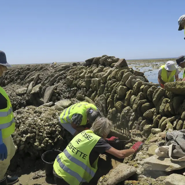 La réparation des couis exige un soin particulier