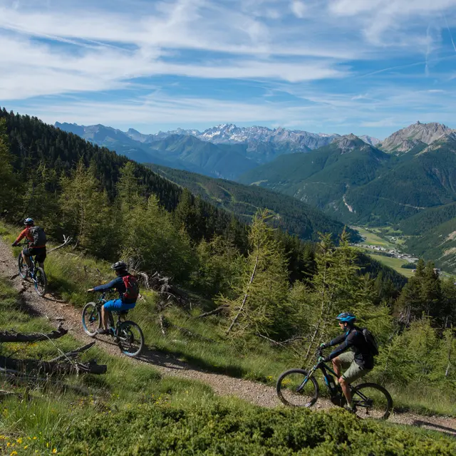 Alligatti Biking
