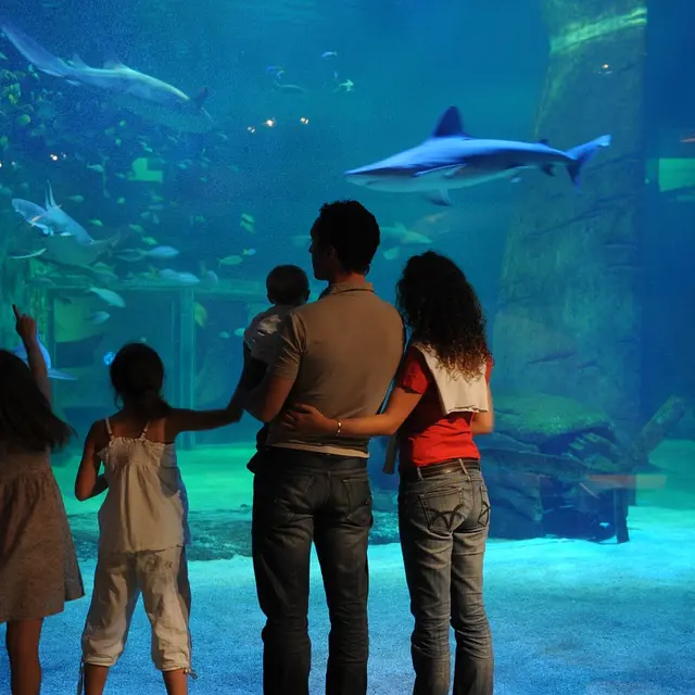 Le Seaquarium