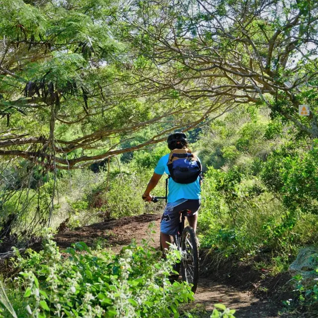 Piste VTT 11
