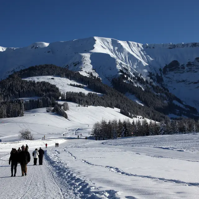 sentier_damé_livraz