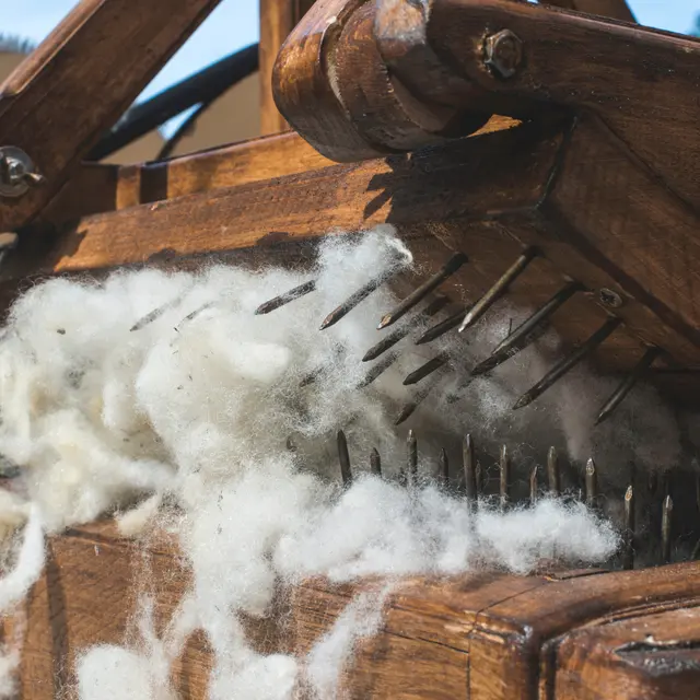 Atelier - Traiter et utiliser la laine de mouton_La Toussuire
