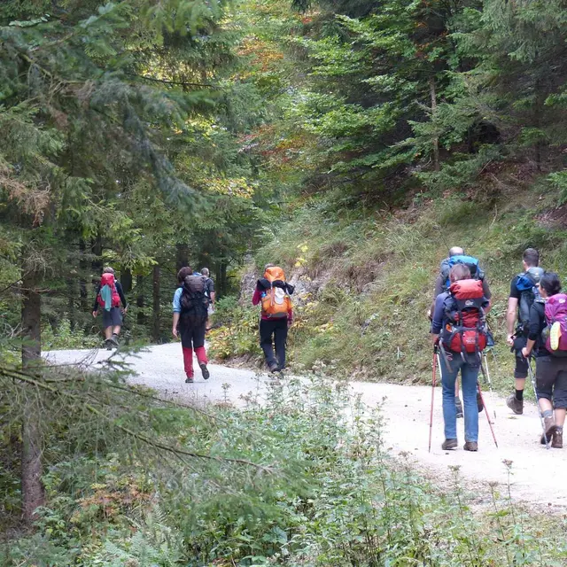 Randonnée le Puy de Barque_Avignon