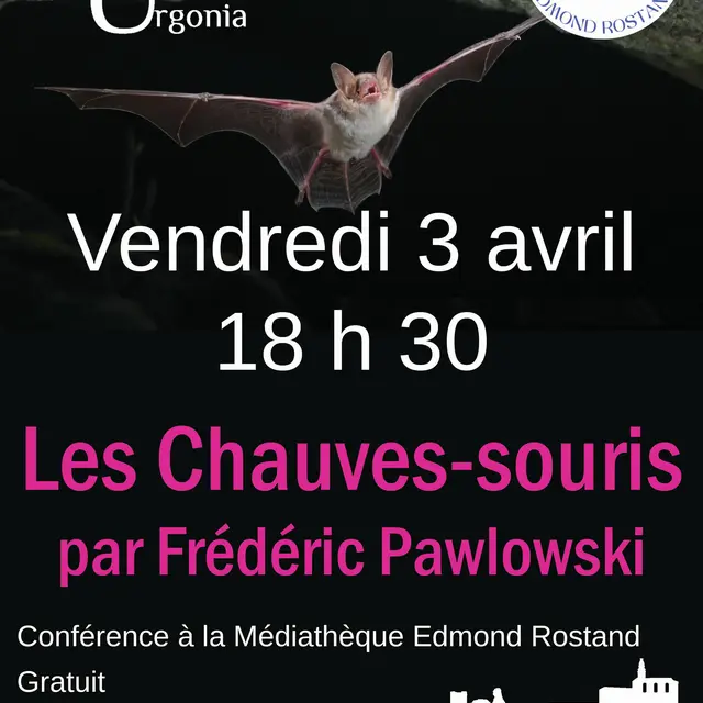 Conférence Les chauves-souris_Orgon