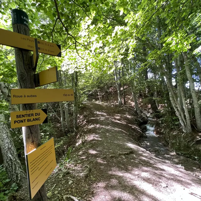 Canal de St Laurent, Ancelle