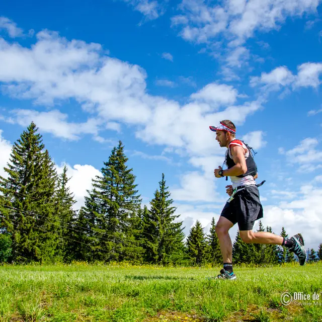 Parcours trail les 4 Villages
