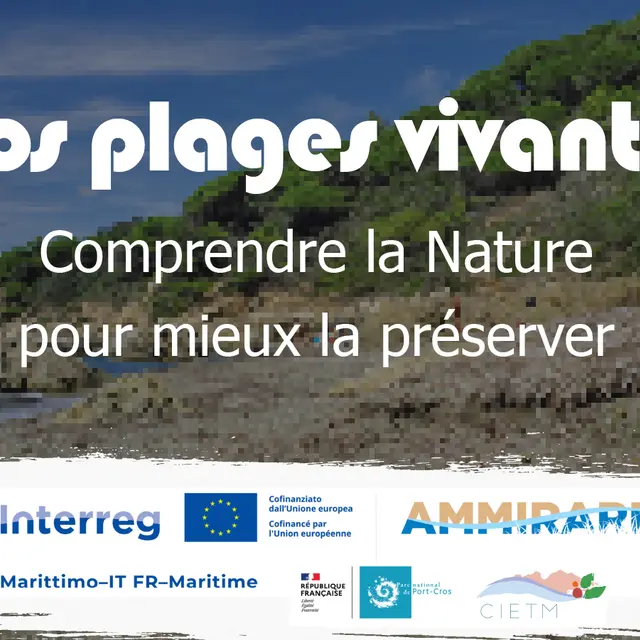 Nos-plages-vivantes