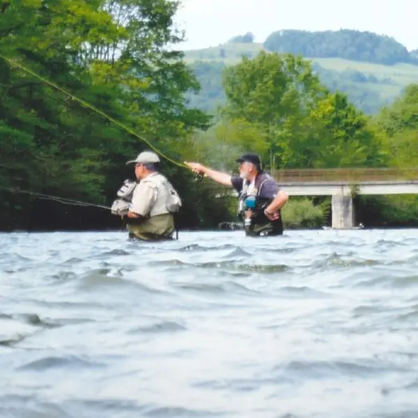 Pêche au pont du Curé.