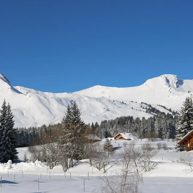 Les Terrasses du Mont Blanc - 47 m² - n°642