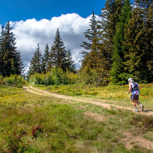 Parcours trail La Croix de Ptiouta
