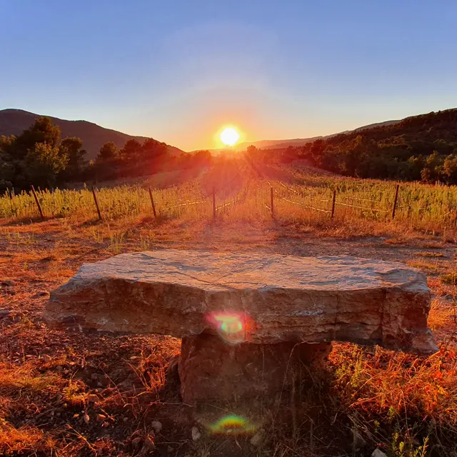 Domaine Coulombaud - Méounes les Montrieux