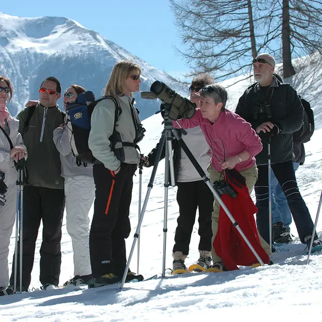 Rando Passion - rencontre avec la faune sauvage_Pra Loup 1600