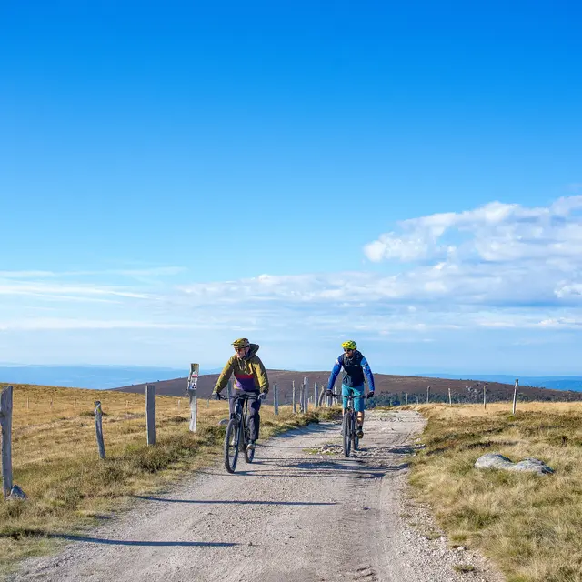 Espace VTT-FFC du Massif des Bois Noirs_Noirétable
