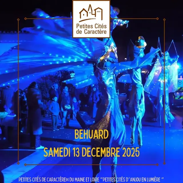 Petite cité de Béhuard en lumière_Béhuard