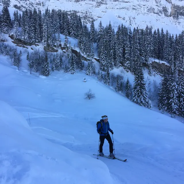 Ski de randonnée