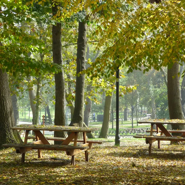 Aire de pique-nique_Saint-Saturnin-lès-Avignon
