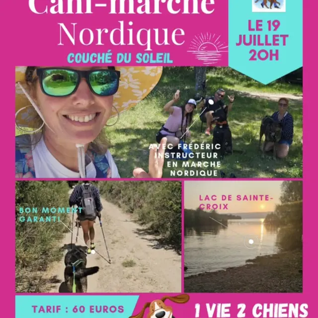 Cani-marche nordique