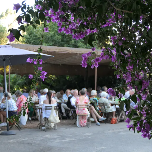 De la vigne au Jardin au Café des jardiniers_Rayol-Canadel Sur Mer
