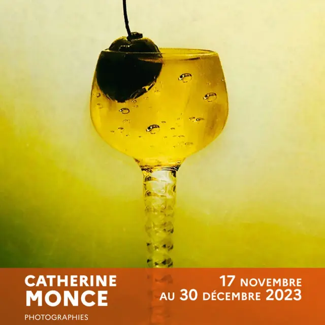 Exposition Catherine Monce