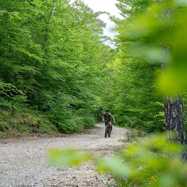 N°3 Circuit VTT et Gravel : Le Vallon du Riou_Saint-Auban