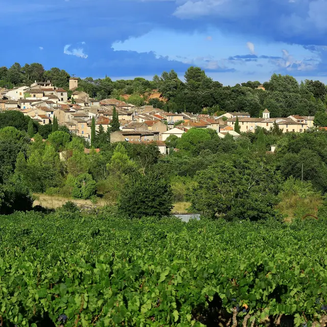 La Pinède du Mitan_La Motte