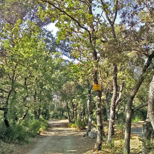 Circuit des Vallons_Gardanne