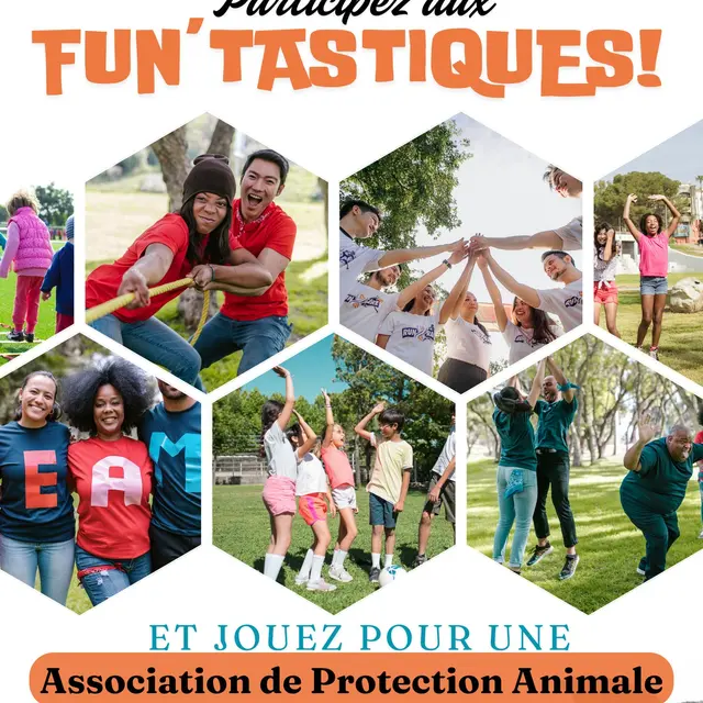 Les Fun'tastiques
