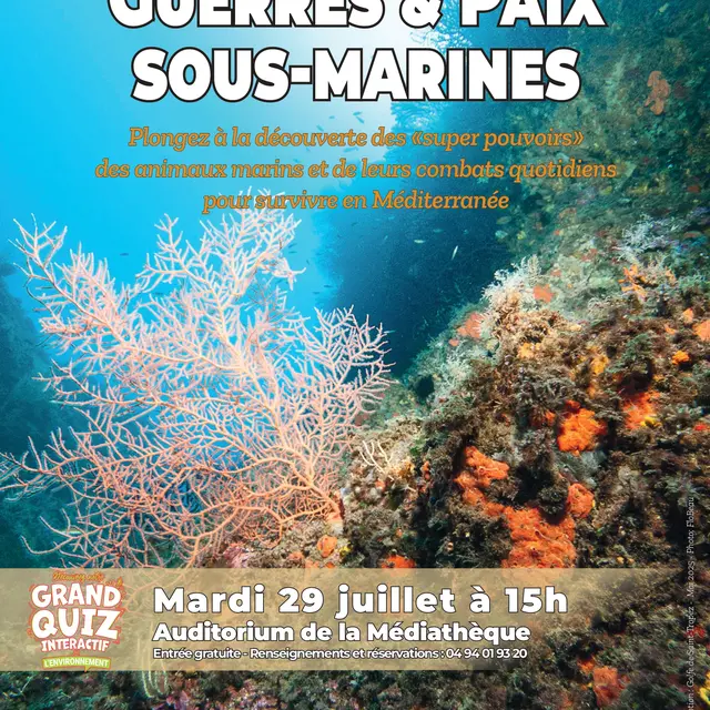 Diaporama interactif : Guerres et paix sous-marines_Cavalaire-sur-Mer