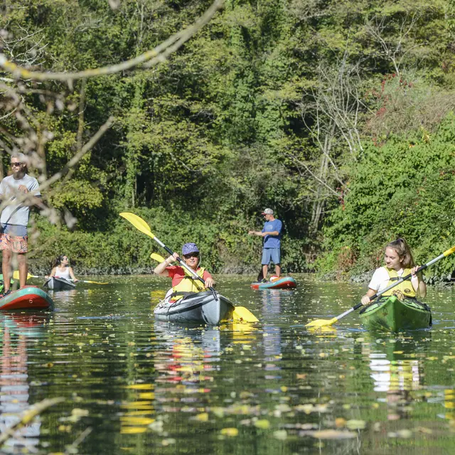 Kayak sur le Rhône sauvage