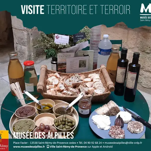 Visite Territoire & Terroir_Saint-Rémy-de-Provence