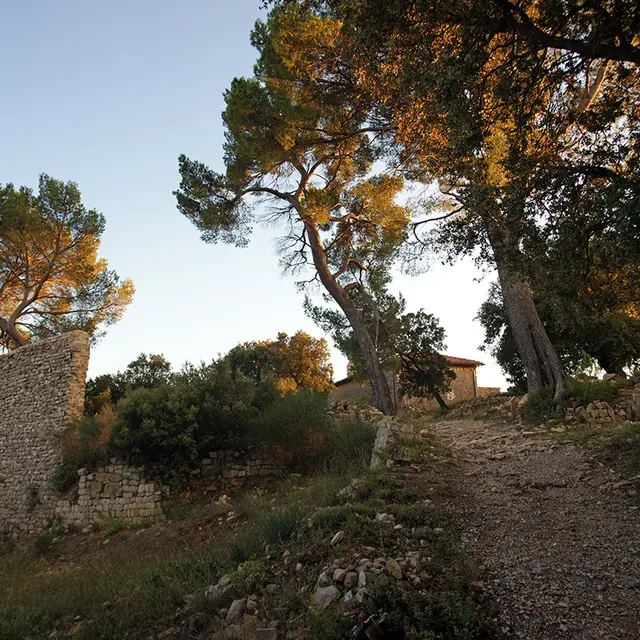 Notre Dame de la Vière