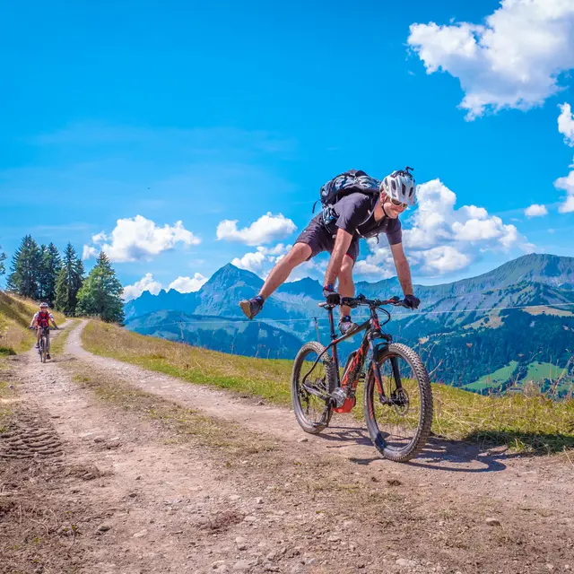 VTT Éco bleu