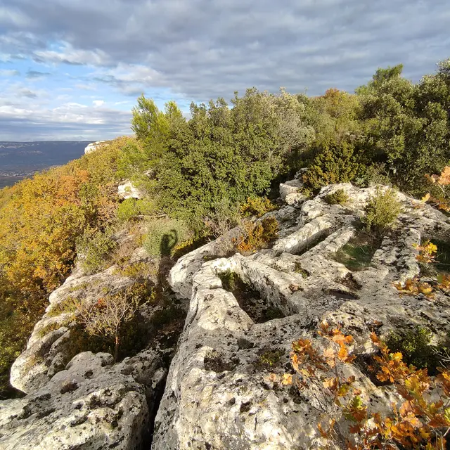 Randonner la Provence