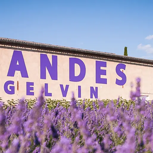LAVANDES ANGELVIN