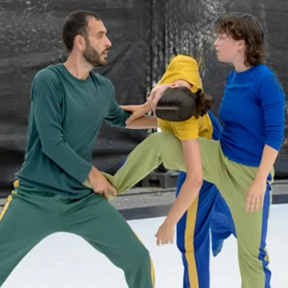 BIRDS - Festival Go.Elans - Soirée partagée 4 compagnies_Nice