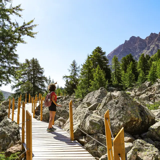 Sentier des Myrtilles