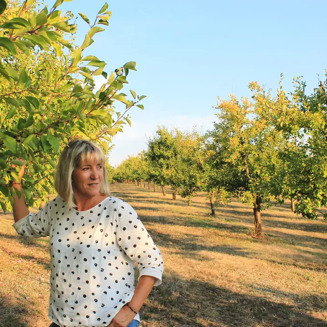 Pruneaux Cabos_Mirabel