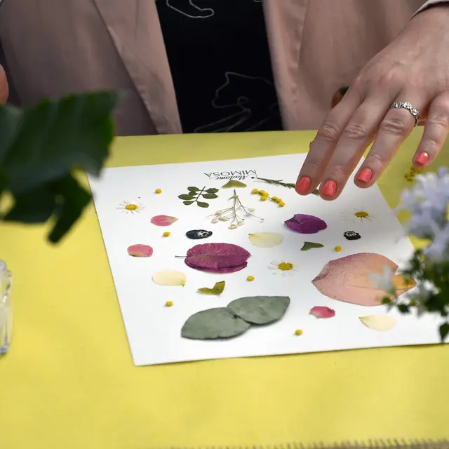 Atelier de création Madame Mimosa