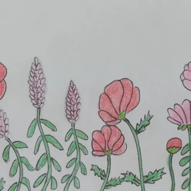 Les choses précieuses -spectacle_Taillades