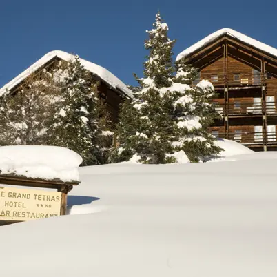 grand tetras hiver