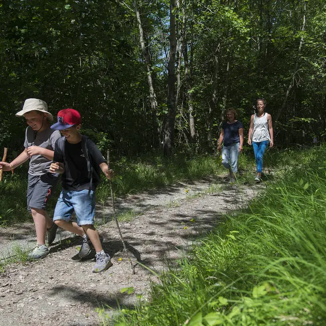 Le sommet de Cuguyon n°25